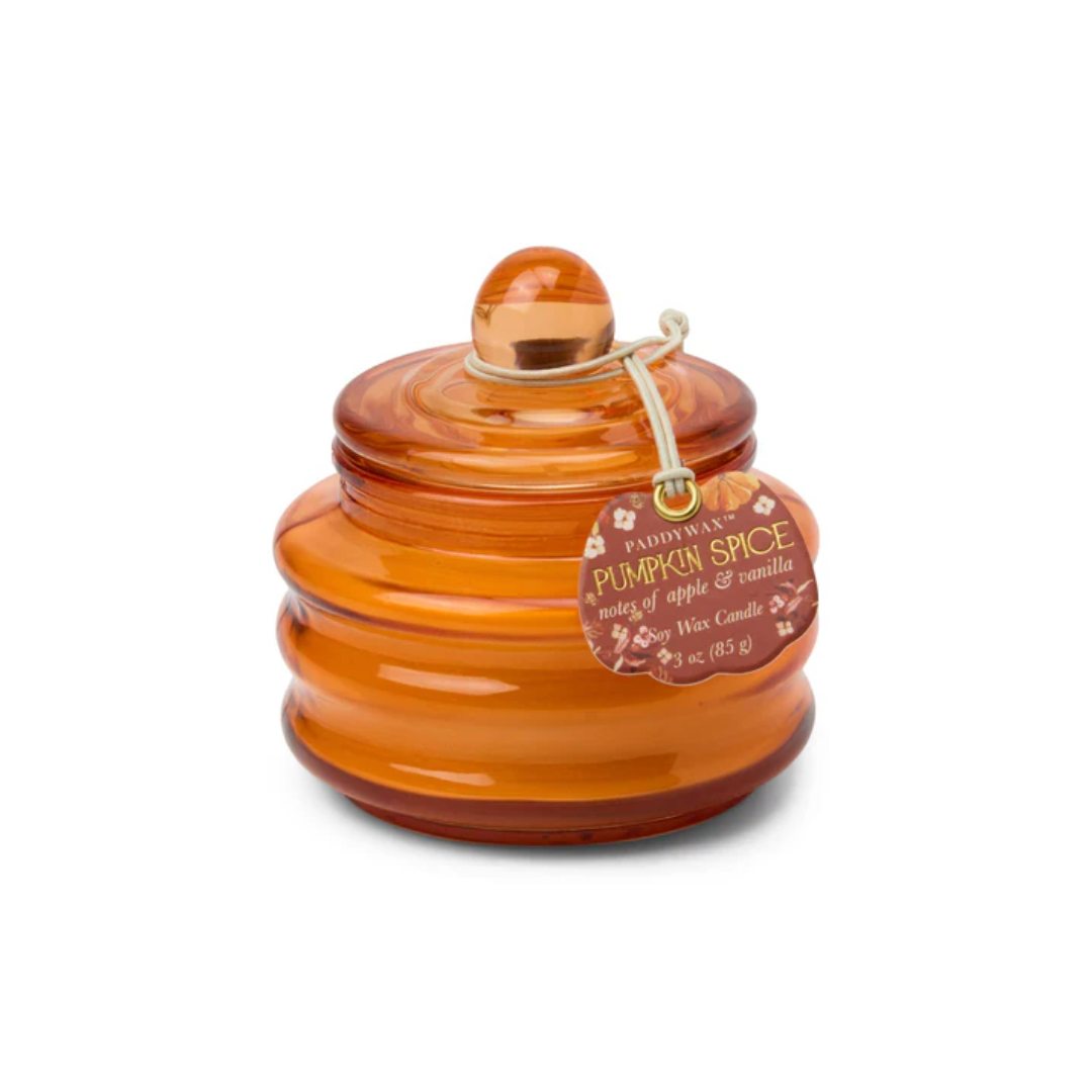 Candela in Barattolo di vetro Paddywax - Beam Pumpkin Spice 85g.