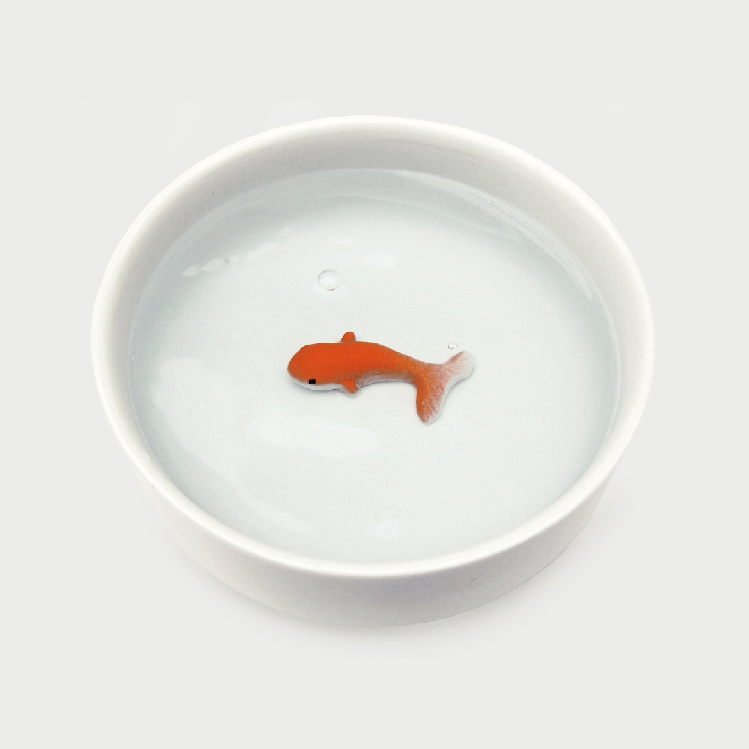 Ciotola per gatti con pesce rosso - Suck UK