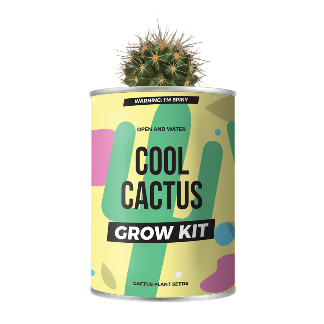 Kit fai da te per Coltivare il tuo Cactus