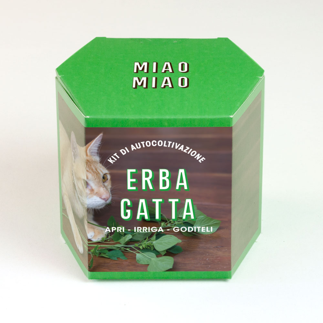 Erba Gatta Grow this way Kit di Autocoltivazione Resetea