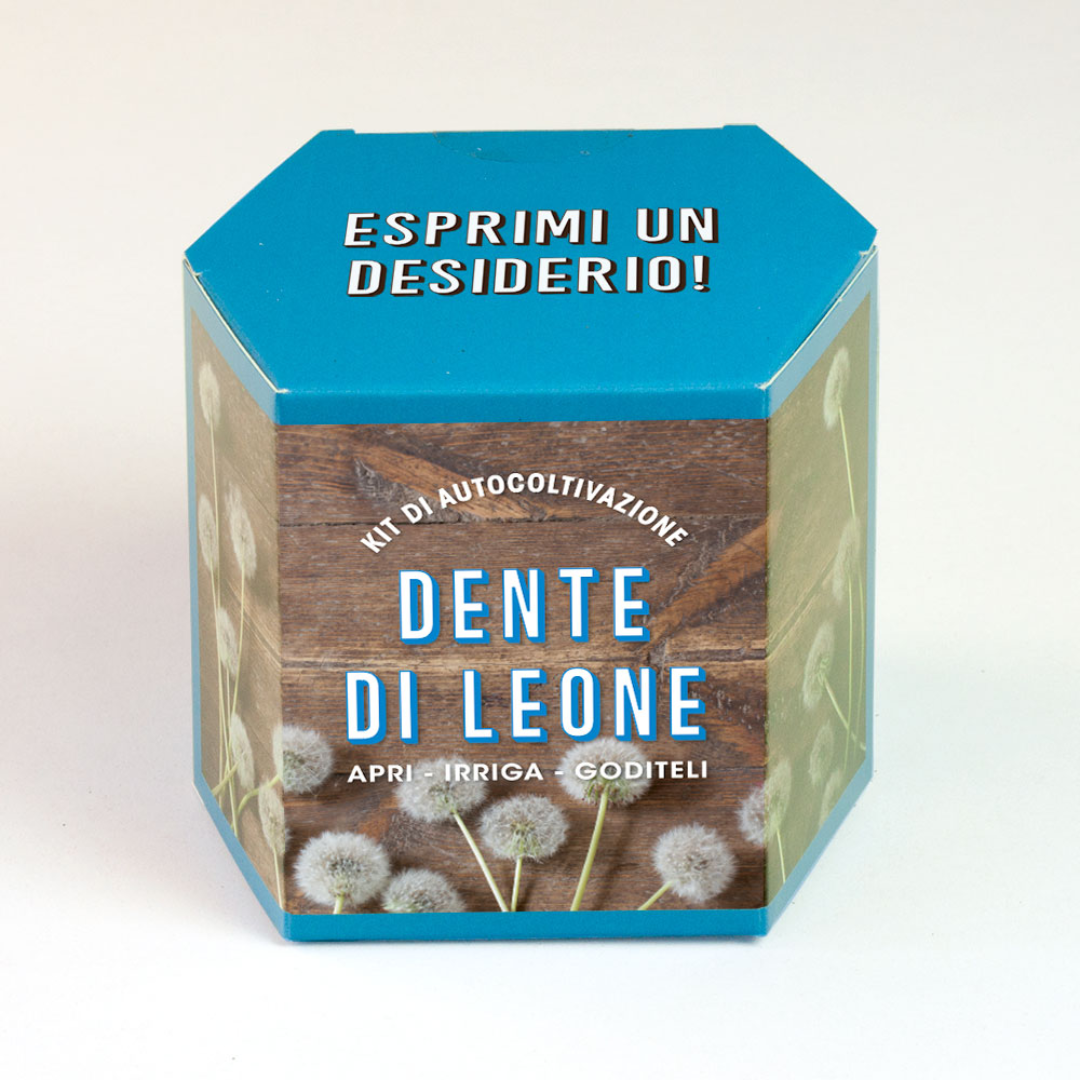 Dente di Leone Grow this way Kit di Autocoltivazione Resetea