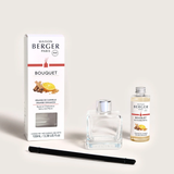 Diffusore con Bastoncini Maison Berger - Arancia e Cannella