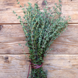 Semi thyme de provence - Piccolo Seeds