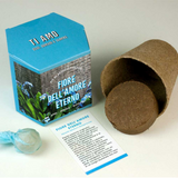 Fiori dell'Amore eterno Grow this way Kit di Autocoltivazione Resetea