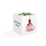 Vaso per Avocado Ilex Studio