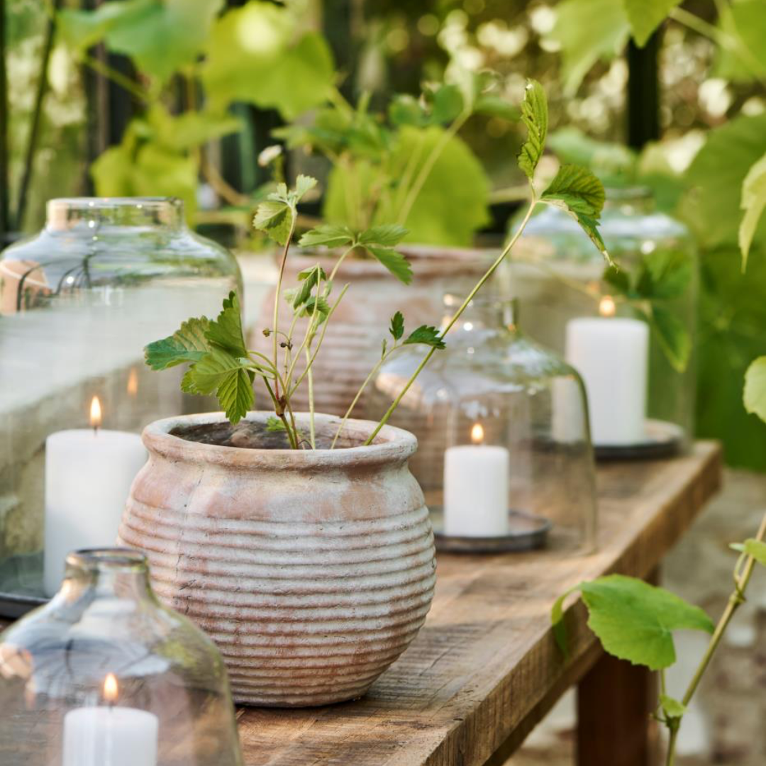 Campana in vetro con apertura IB Laursen