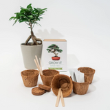 Kit fai da te per Bonsai