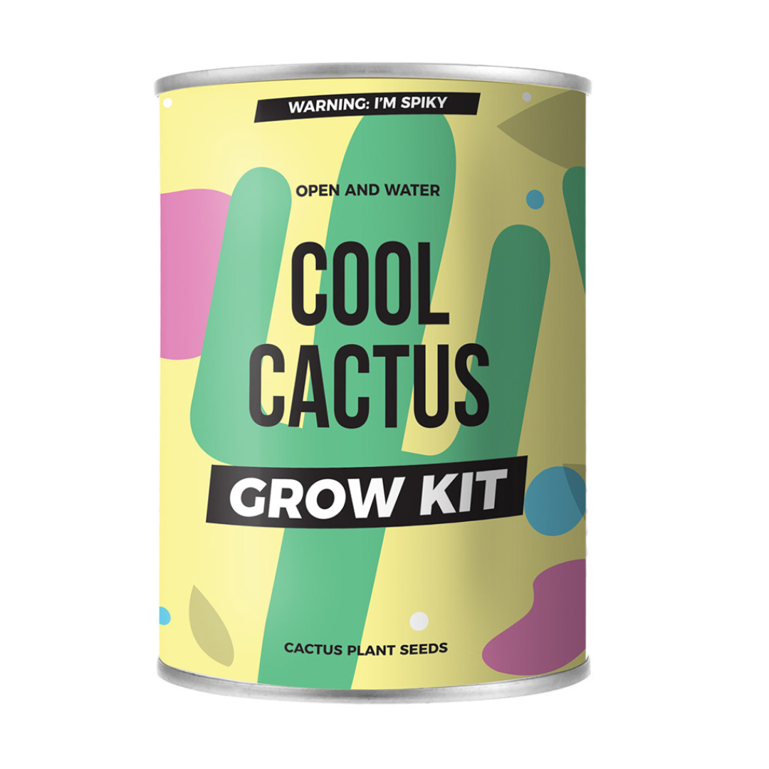 Kit fai da te per Coltivare il tuo Cactus