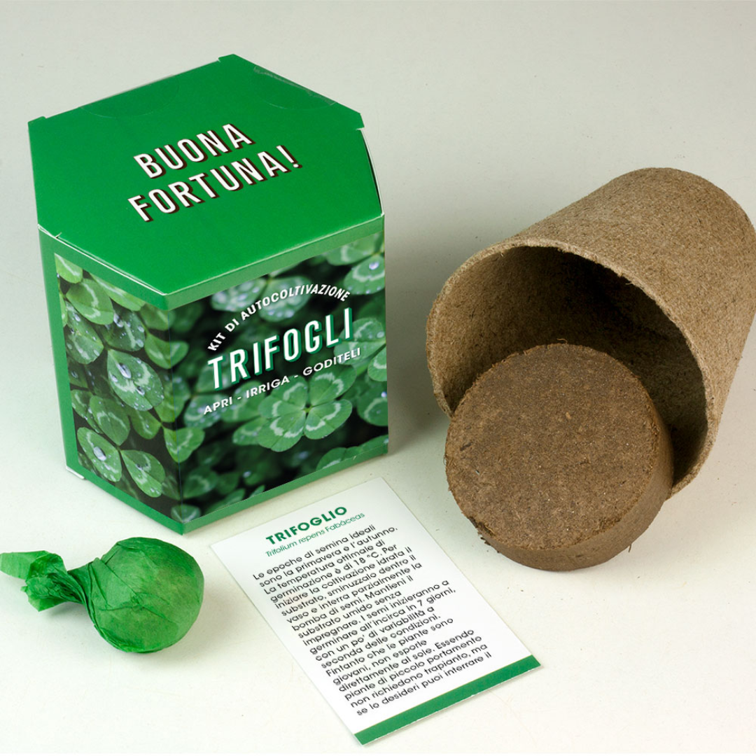 Buona Fortuna Grow this way Kit di Autocoltivazione Trifogli Resetea