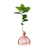 Vaso per Ghianda Ilex Studio