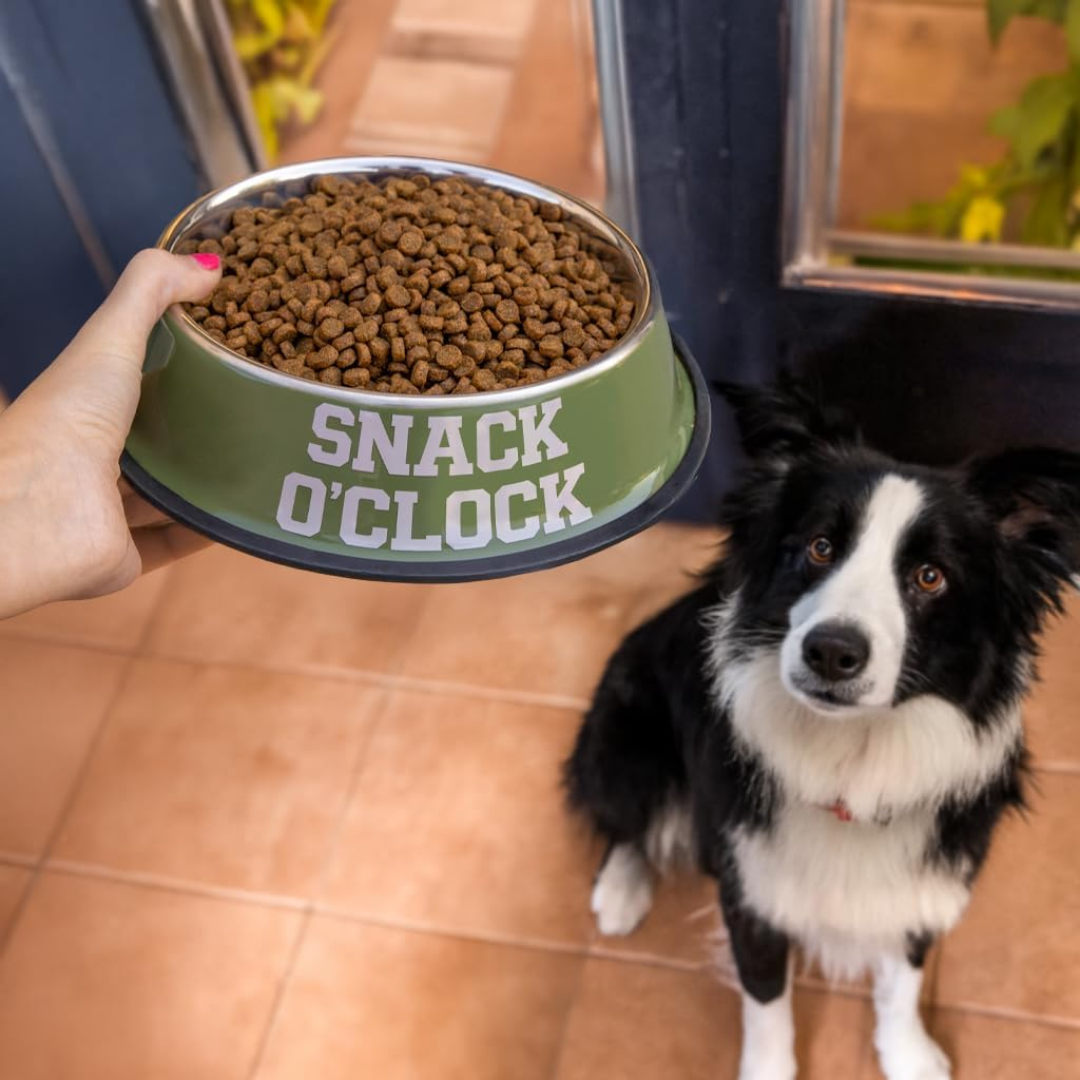 Ciotiola Cibo Animali "snack o 'clock, drink o'clock" Fisura