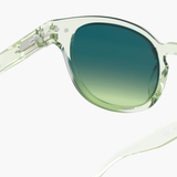 Occhiali da Sole Izipizi - #C Green Fields Polarizzato