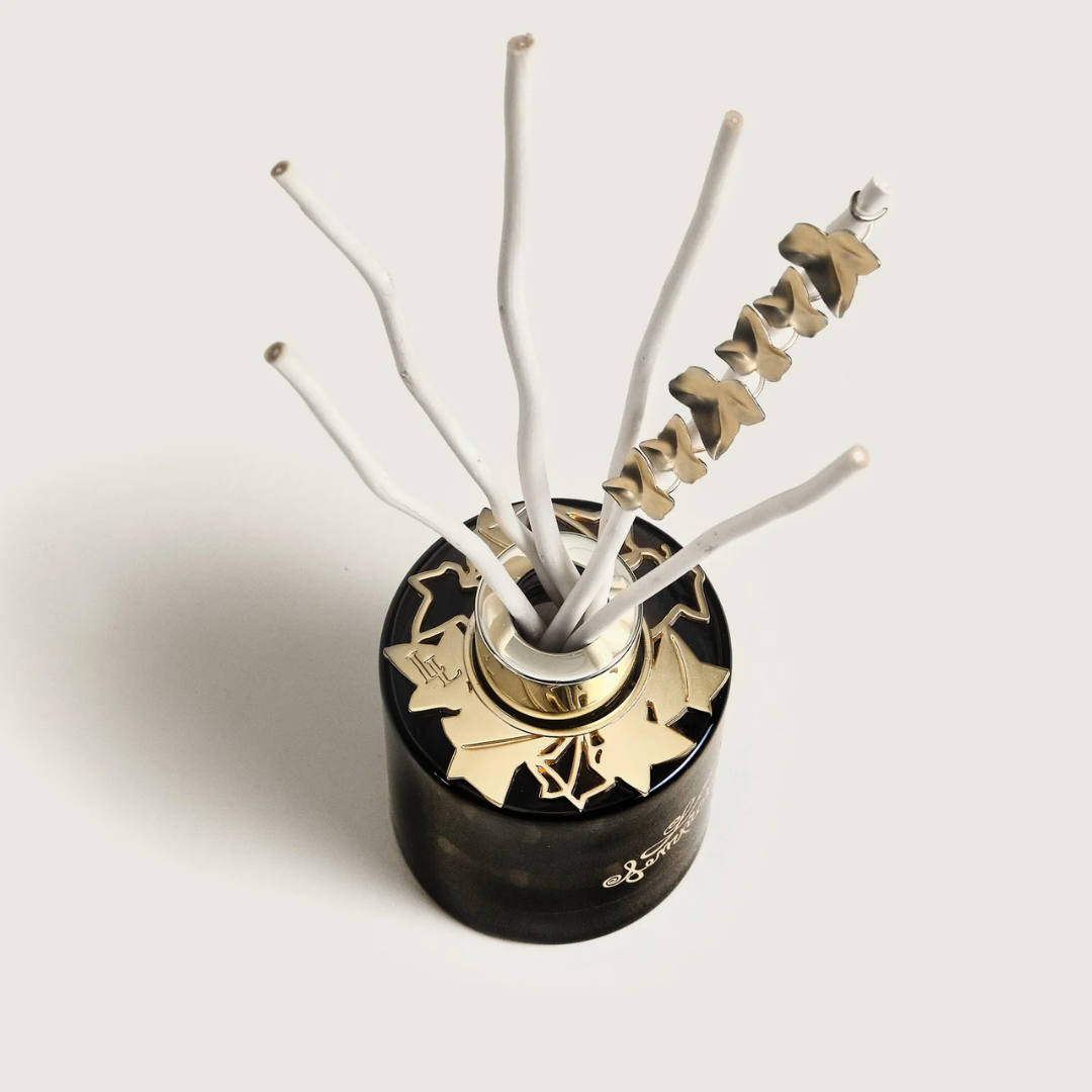 Diffusore con Bastoncini Maison Berger - Lolita Lempicka