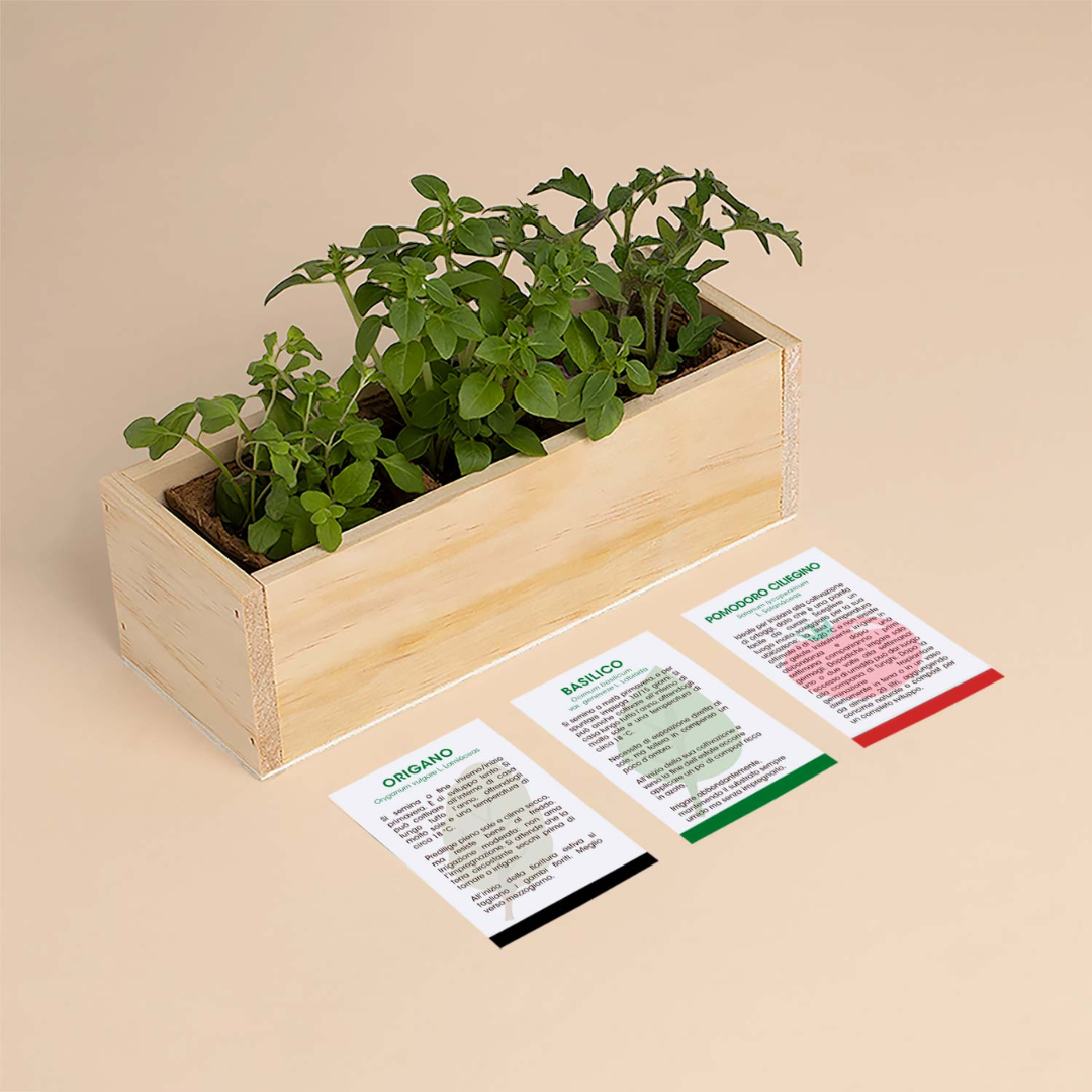 Kit Autocoltivazioni Pizza Reseta Origano, Basilico e Pomodoro ciliegino
