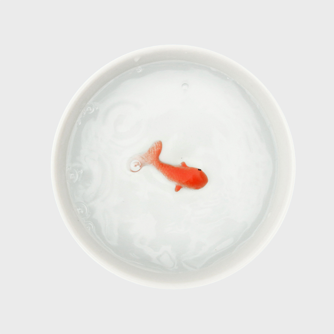 Ciotola per gatti con pesce rosso - Suck UK