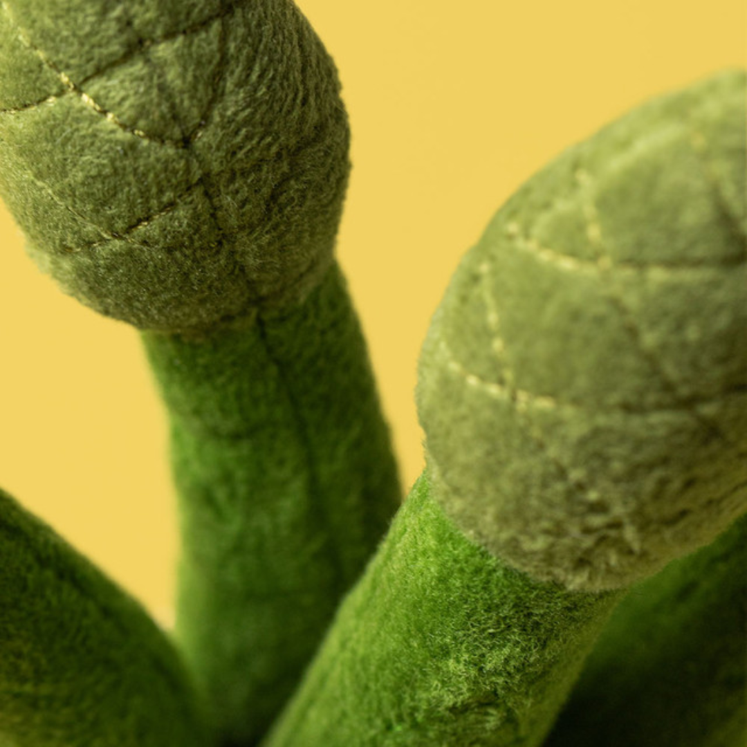 Jellycat . Amuseables Asparagus