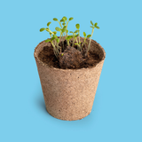 Kit Salviamo le Api . Resetea