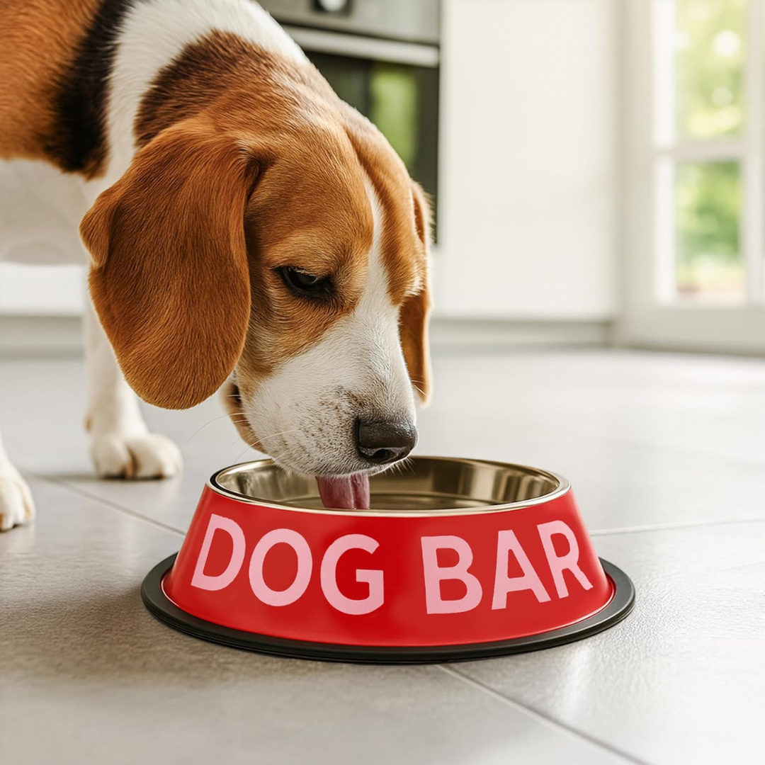 Ciotiola Cibo Animali "DOG BAR" Fisura