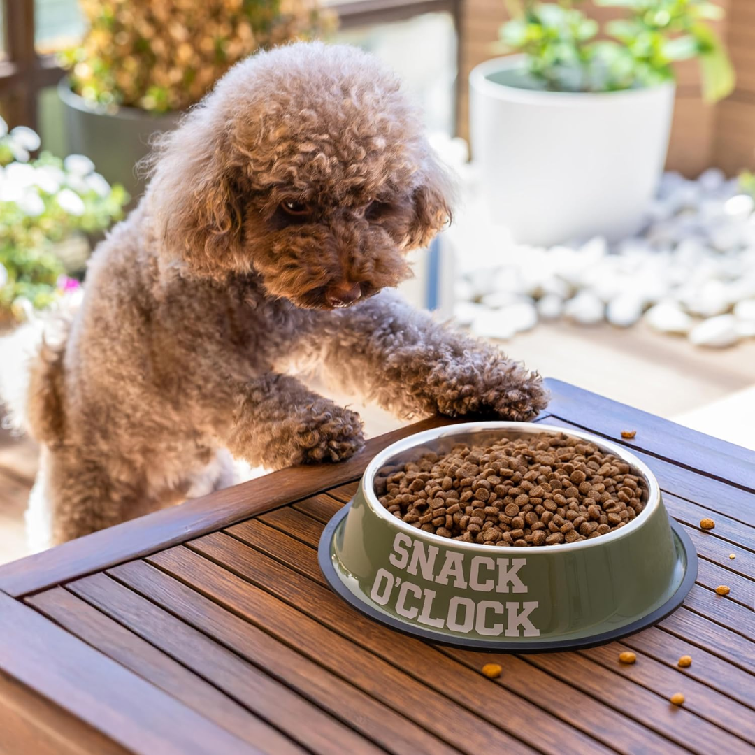 Ciotiola Cibo Animali "snack o 'clock, drink o'clock" Fisura
