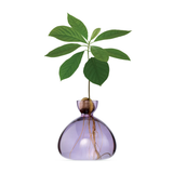 Vaso per Avocado Ilex Studio
