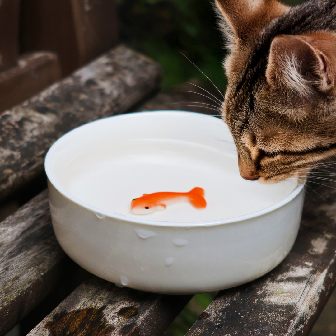 Ciotola per gatti con pesce rosso - Suck UK