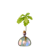 Vaso per Ghianda Ilex Studio
