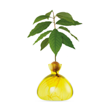 Vaso per Avocado Ilex Studio
